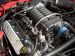 Shelby Shelby Cobra GT500 Picture #68